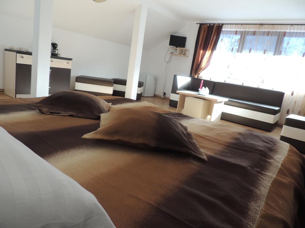 Pension Steaua Ariesului Альбац Номер фото