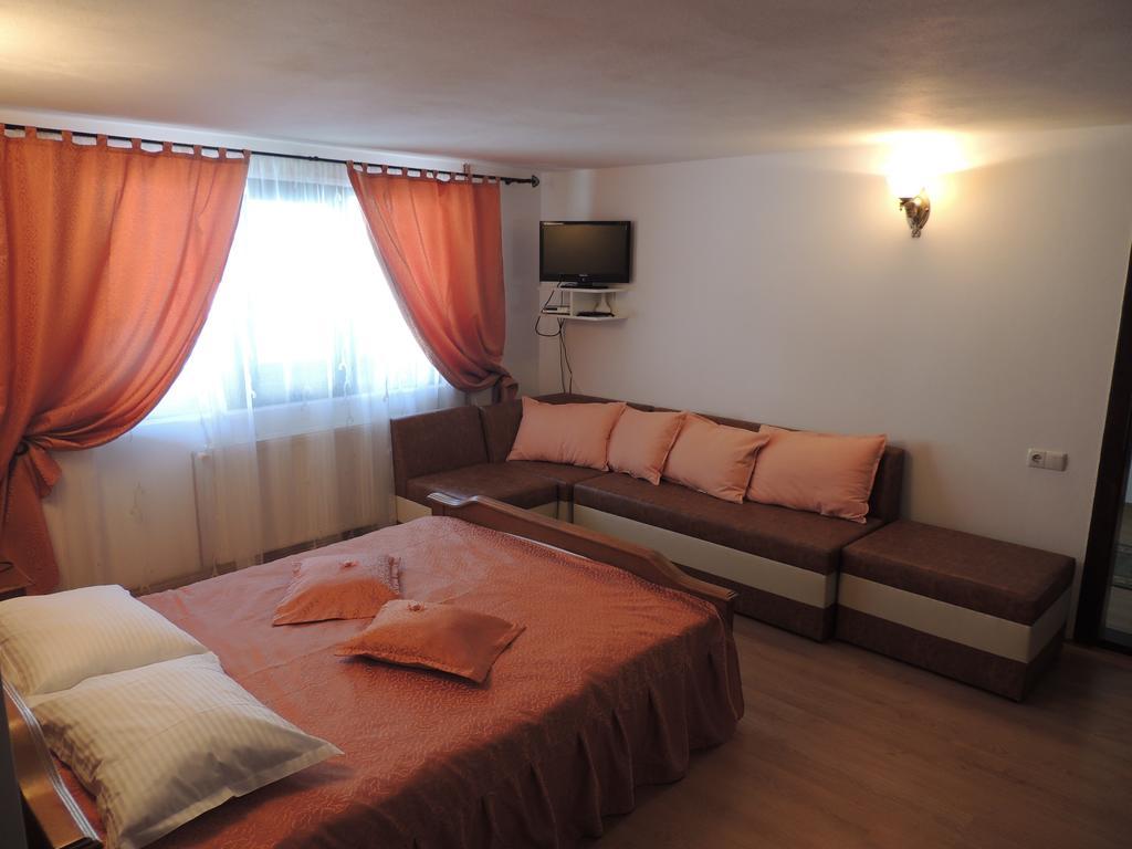 Pension Steaua Ariesului Альбац Номер фото