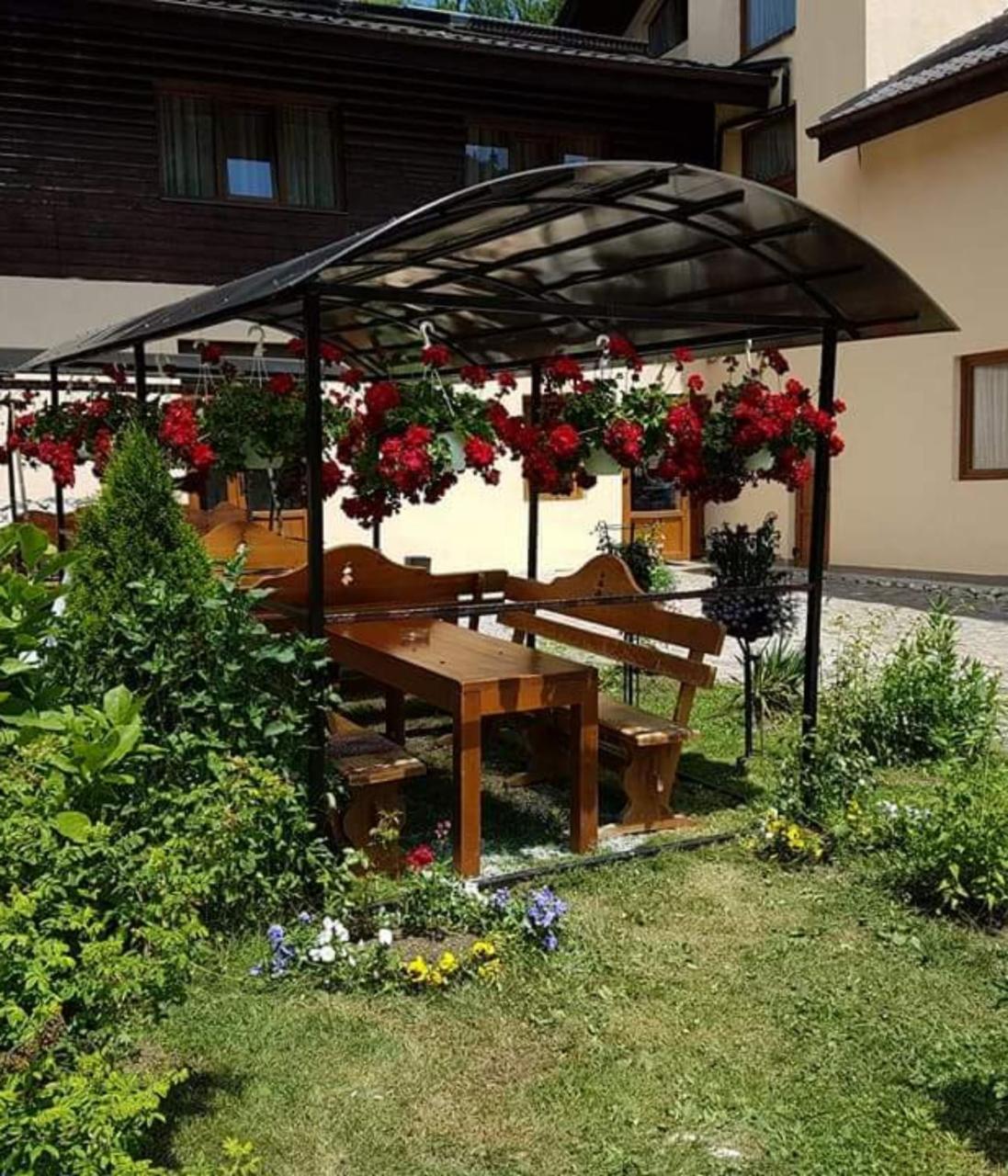 Pension Steaua Ariesului Альбац Экстерьер фото